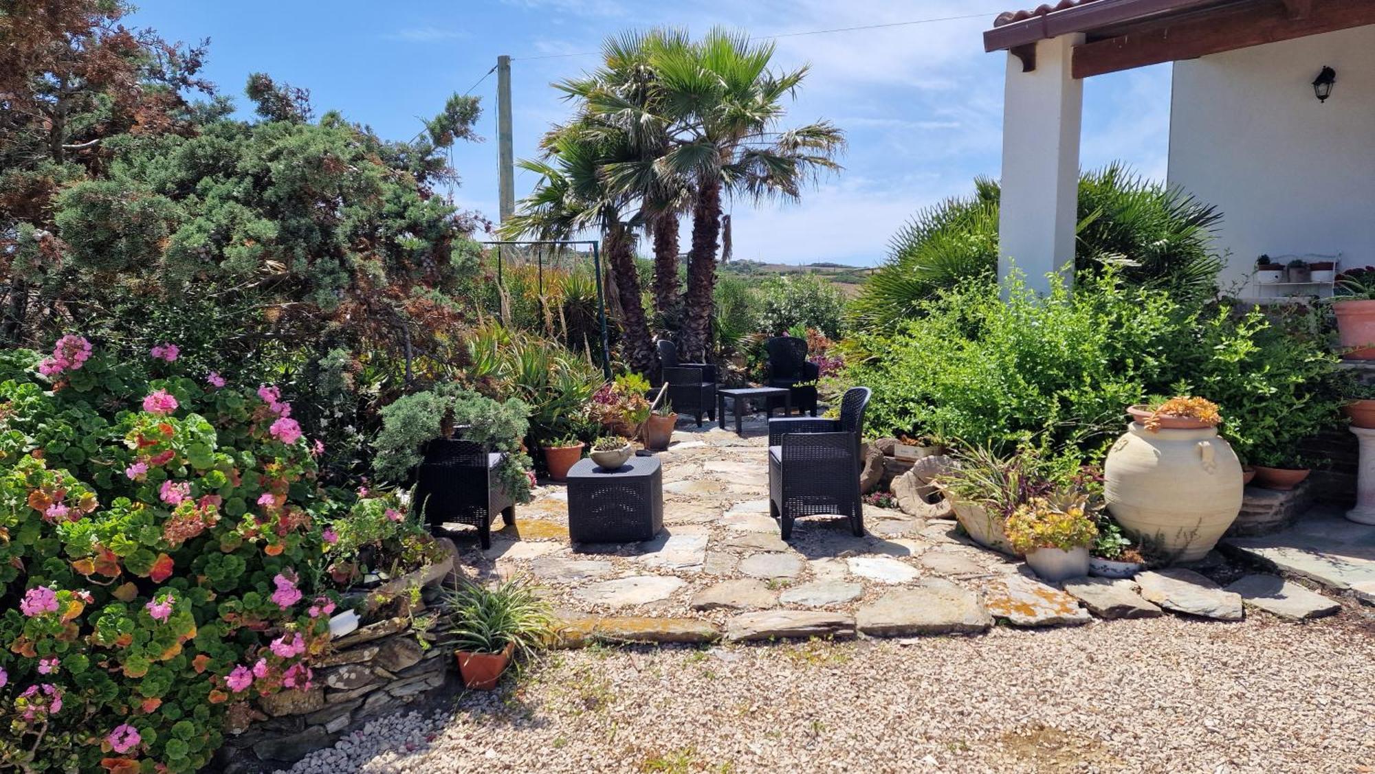 B&B Sa Corte Biancareddu Dış mekan fotoğraf